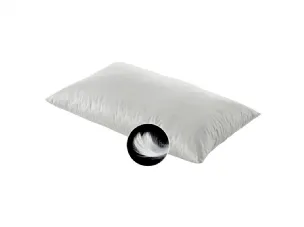 Alpino