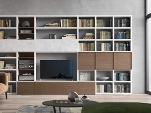 Sistema Spalla Comp SA2222