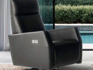 Aurora Swivel