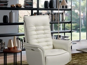 Jupiter Swivel
