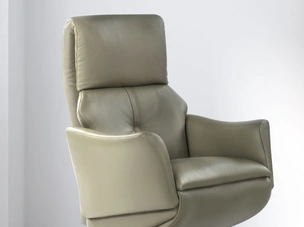 Mercury Swivel