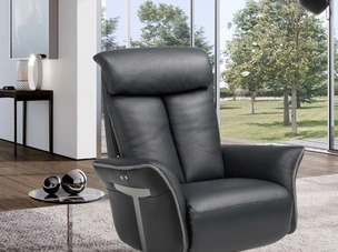 Venus Swivel