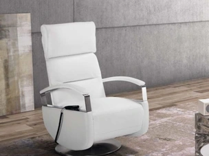 Tokyo Swivel